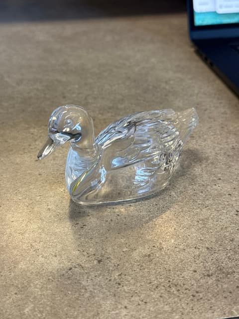 Glass Duck