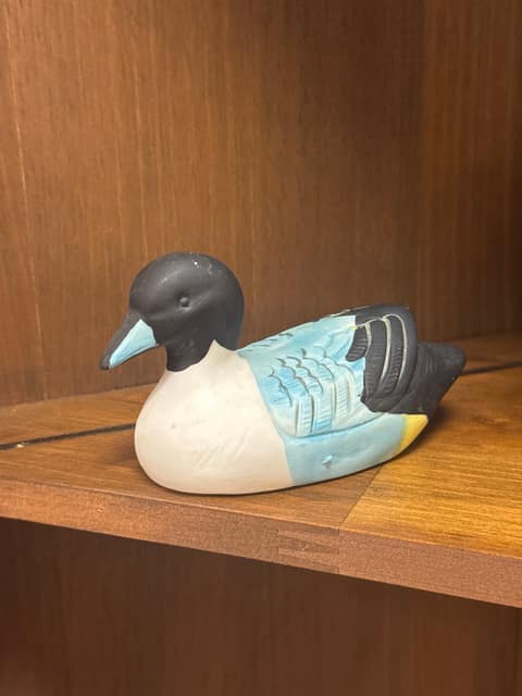 1979 VTG Duck