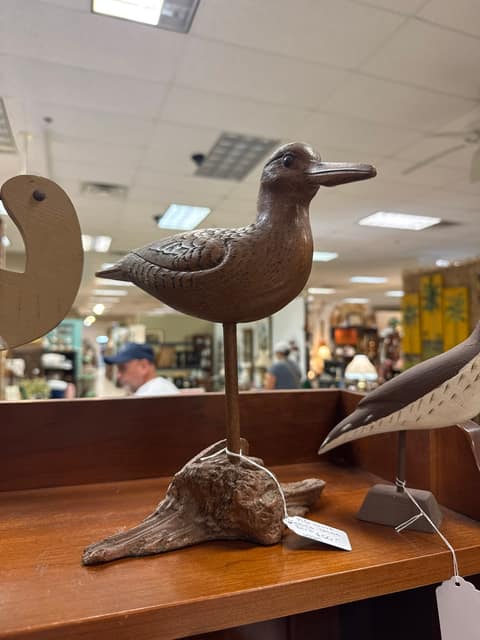 Shore Bird