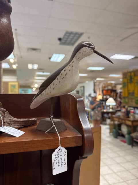 Shore Bird