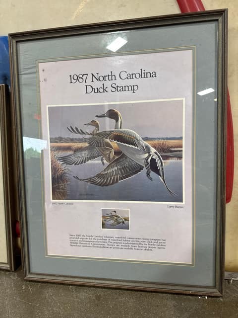 NC Duck Print