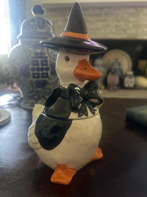 Witchy Goose