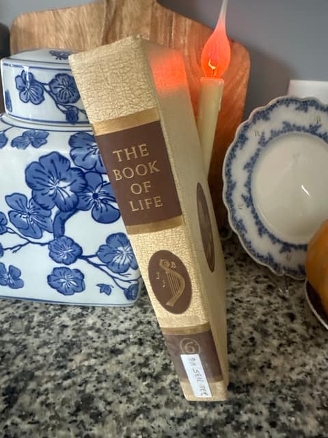 The Book of Life 6