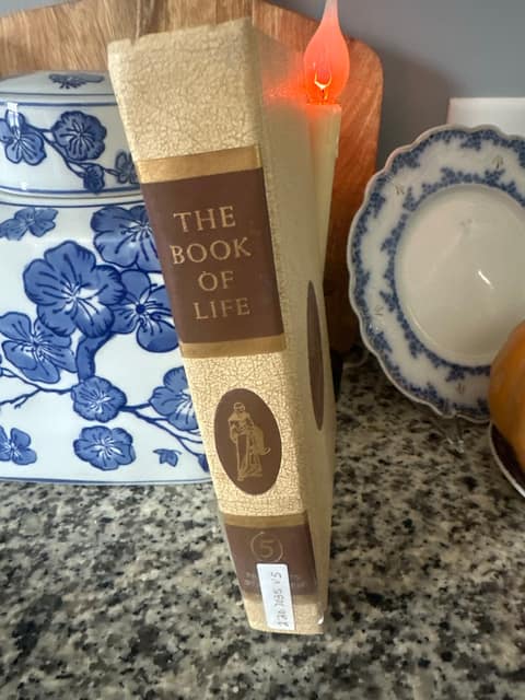 The Book of Life 5