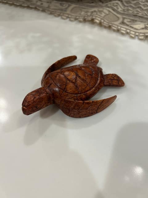 Wooden Turtle