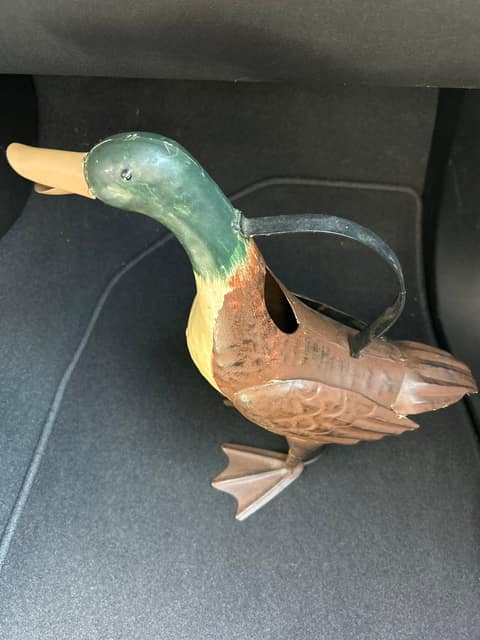 Metal Duck Watering Can