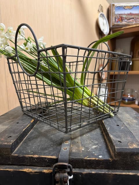 Wire basket