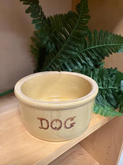 Dog bowl