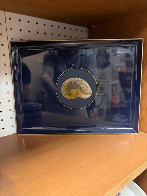 Blue shell tray