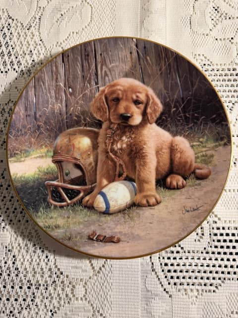 Wide Retriever Plate