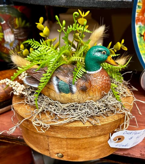 Duck Floral Box